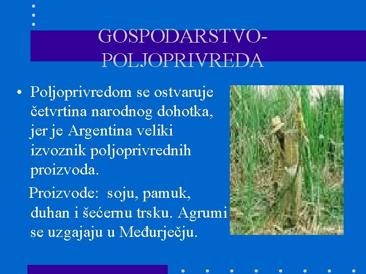 GOSPODARSTVOPOLJOPRIVREDA • Poljoprivredom se ostvaruje četvrtina narodnog dohotka, jer je Argentina veliki izvoznik poljoprivrednih