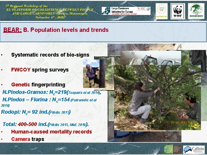 BEAR: B. Population levels and trends • Systematic records of bio-signs • FWCOY spring