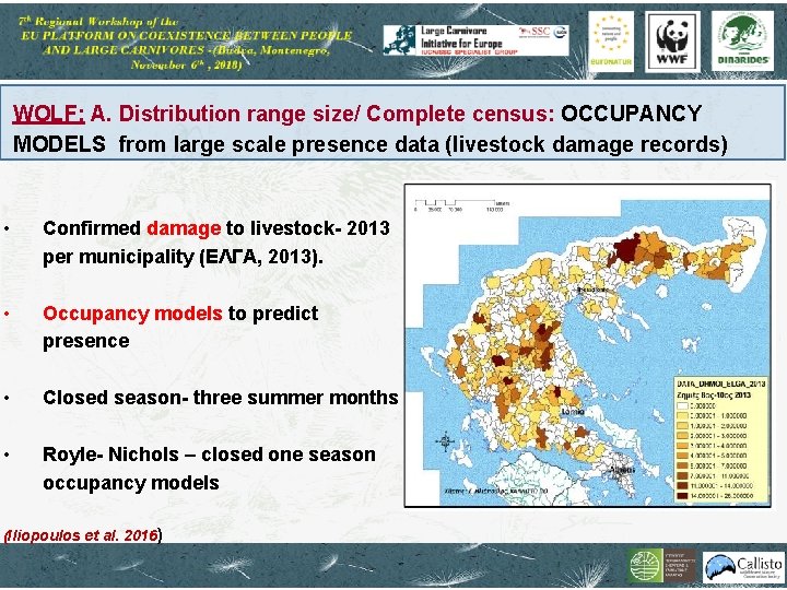 WOLF: A. Distribution range size/ Complete census: ΟCCUPANCY MODELS from large scale presence data