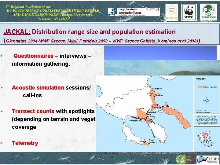 JACKAL: Distribution range size and population estimation (Giannatos 2004 -WWF Greece, Migli, Petridou 2010