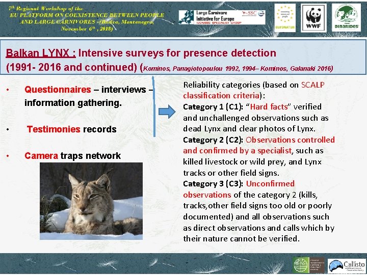 Balkan LYNX : Intensive surveys for presence detection (1991 - 2016 and continued) (Kominos,