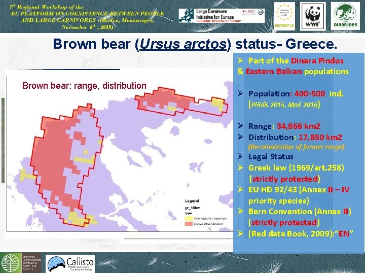 Brown bear (Ursus arctos) status- Greece. Ø Part of the Dinara Pindos & Eastern