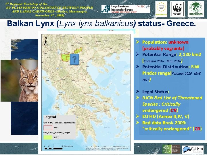 Balkan Lynx (Lynx lynx balkanicus) status- Greece. Ø Population: unknown (probably vagrants) Ø Potential