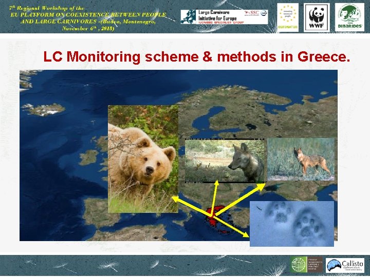 LC Monitoring scheme & methods in Greece. 