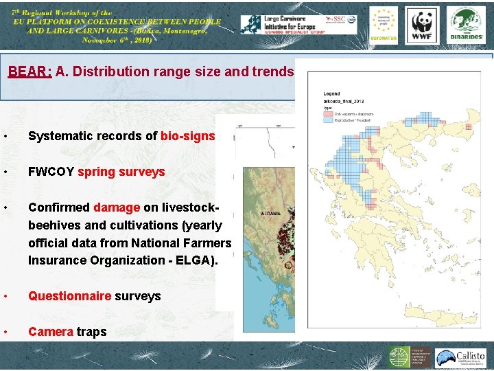BEAR: A. Distribution range size and trends • Systematic records of bio-signs • FWCOY