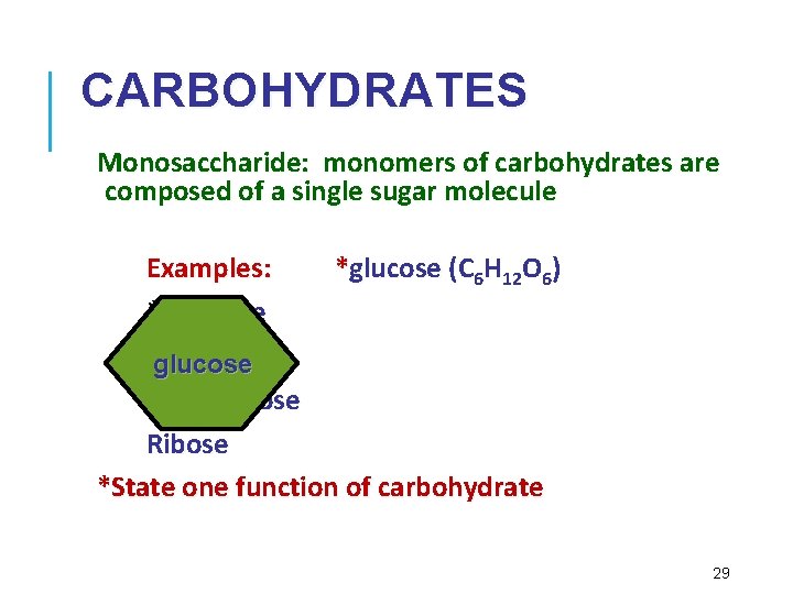 CARBOHYDRATES Monosaccharide: monomers of carbohydrates are composed of a single sugar molecule Examples: *glucose
