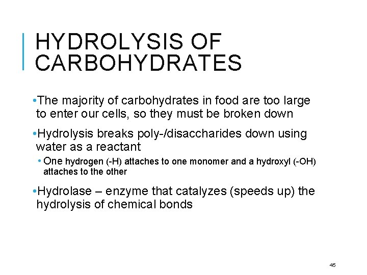 HYDROLYSIS OF CARBOHYDRATES • The majority of carbohydrates in food are too large to