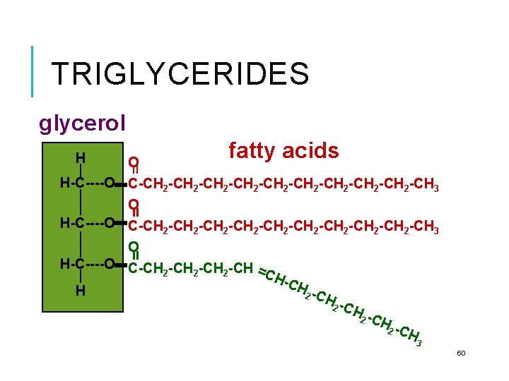 TRIGLYCERIDES glycerol H fatty acids = O H-C----O C-CH 2 -CH 2 -CH 2