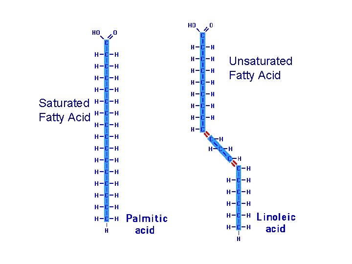 Unsaturated Fatty Acid Saturated Fatty Acid 