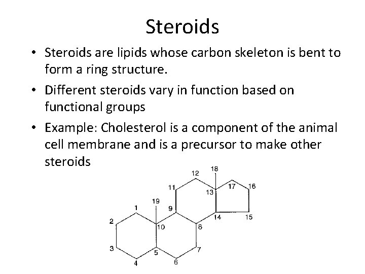 Steroids • Steroids are lipids whose carbon skeleton is bent to form a ring