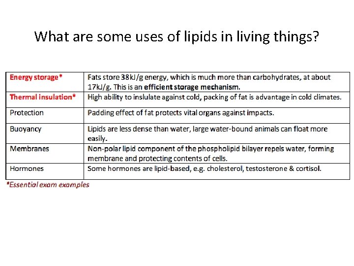 What are some uses of lipids in living things? 