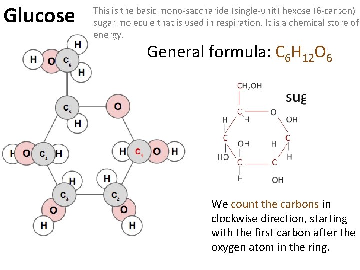 Glucose This is the basic mono-saccharide (single-unit) hexose (6 -carbon) sugar molecule that is