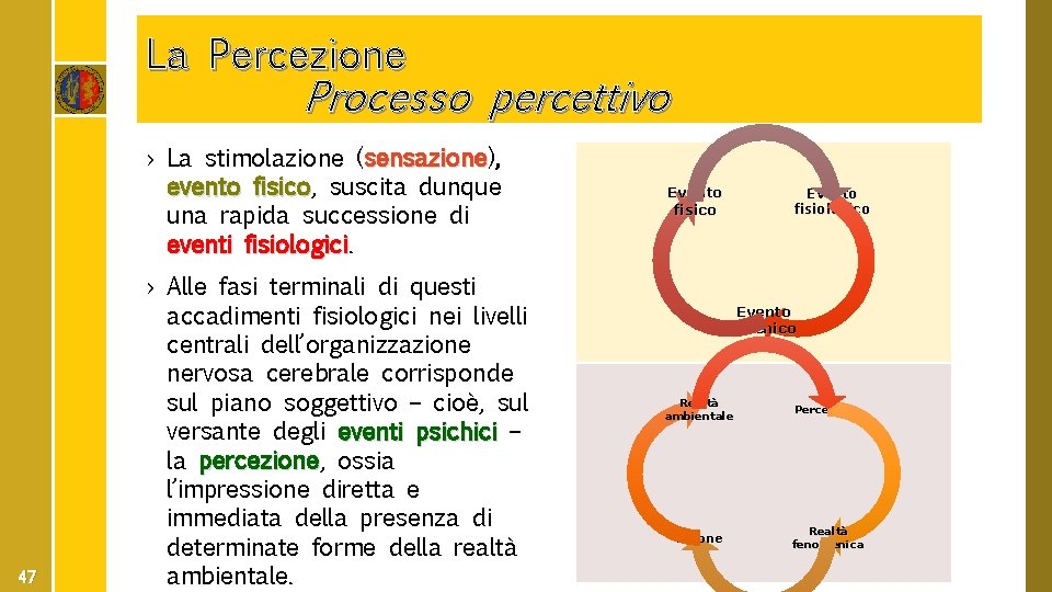 La Percezione Processo percettivo › La stimolazione (sensazione), sensazione evento fisico, fisico suscita dunque
