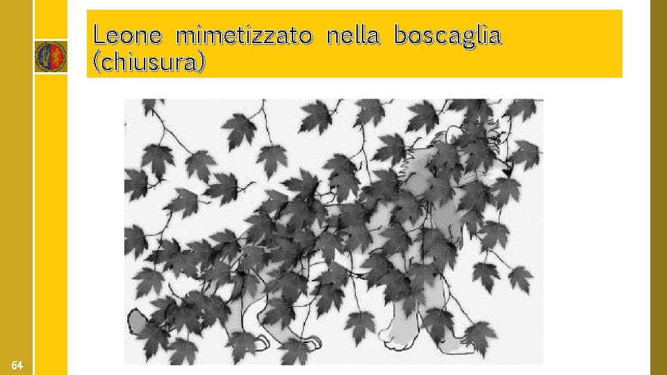 Leone mimetizzato nella boscaglia (chiusura) 64 