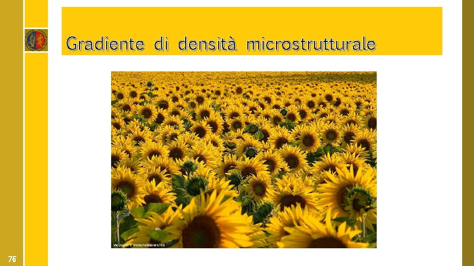 Gradiente di densità microstrutturale 76 