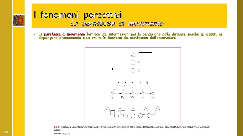 I fenomeni percettivi La parallasse di movimento › La parallasse di movimento fornisce utili