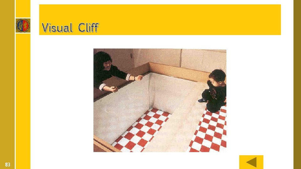 Visual Cliff 83 
