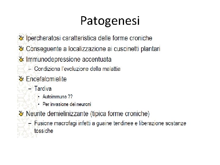 Patogenesi 