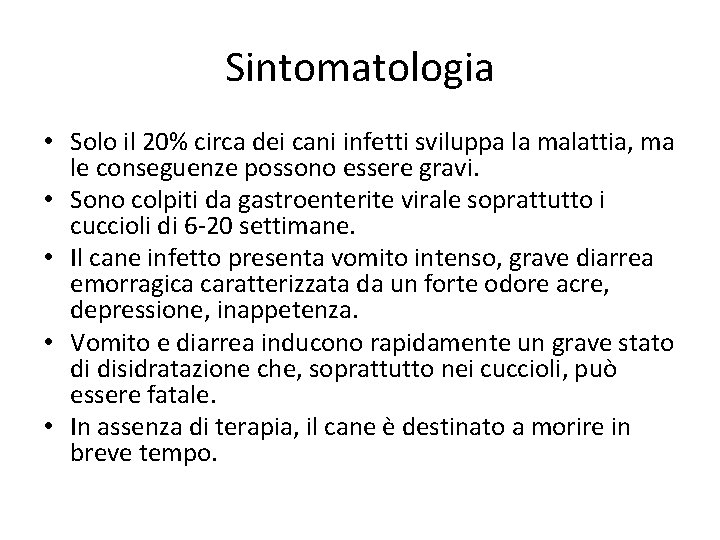 Sintomatologia • Solo il 20% circa dei cani infetti sviluppa la malattia, ma le