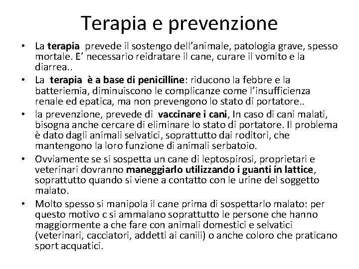 Terapia e prevenzione • La terapia prevede il sostengo dell’animale, patologia grave, spesso mortale.