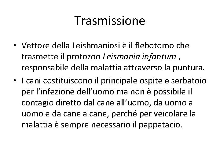 Trasmissione • Vettore della Leishmaniosi è il flebotomo che trasmette il protozoo Leismania infantum