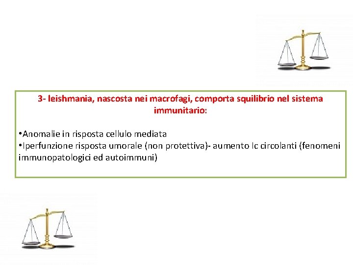 3 - leishmania, nascosta nei macrofagi, comporta squilibrio nel sistema immunitario: • Anomalie in