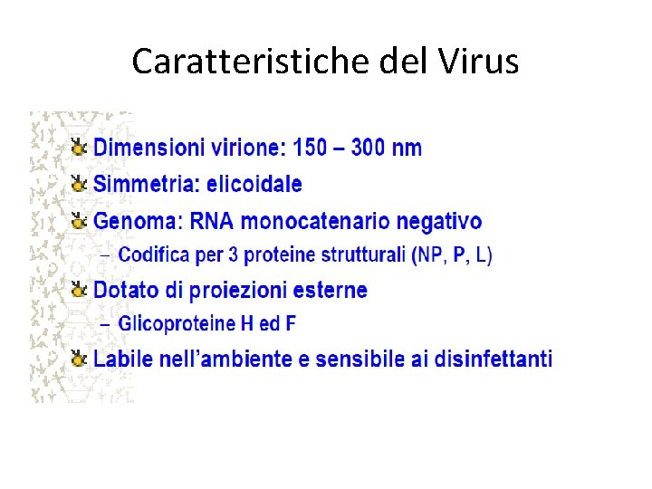 Caratteristiche del Virus 