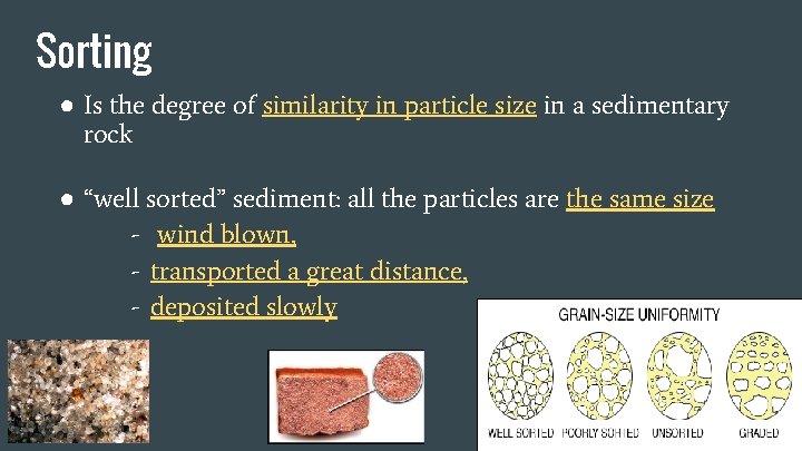 Sorting ● Is the degree of similarity in particle size in a sedimentary rock Sorting ● Is the degree of similarity in particle size in a sedimentary rock