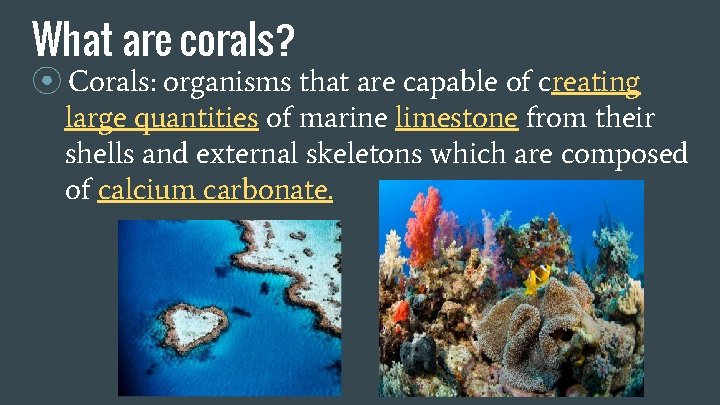 What are corals? ⦿ Corals: organisms that are capable of creating large quantities of