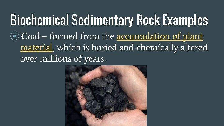 Biochemical Sedimentary Rock Examples ⦿ Coal – formed from the accumulation of plant material, Biochemical Sedimentary Rock Examples ⦿ Coal – formed from the accumulation of plant material,
