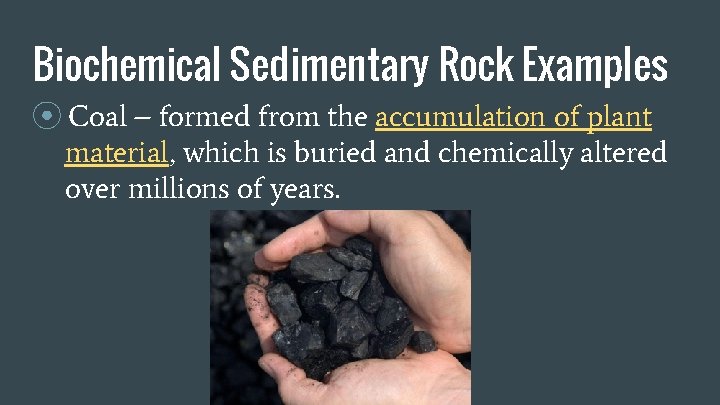 Biochemical Sedimentary Rock Examples ⦿ Coal – formed from the accumulation of plant material,