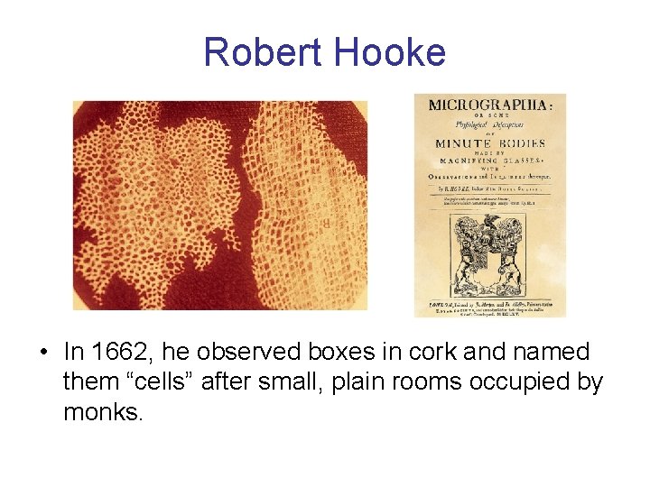 Robert Hooke • In 1662, he observed boxes in cork and named them “cells”