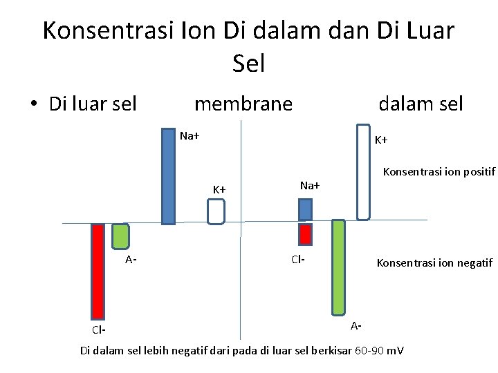 Konsentrasi Ion Di dalam dan Di Luar Sel • Di luar sel membrane dalam