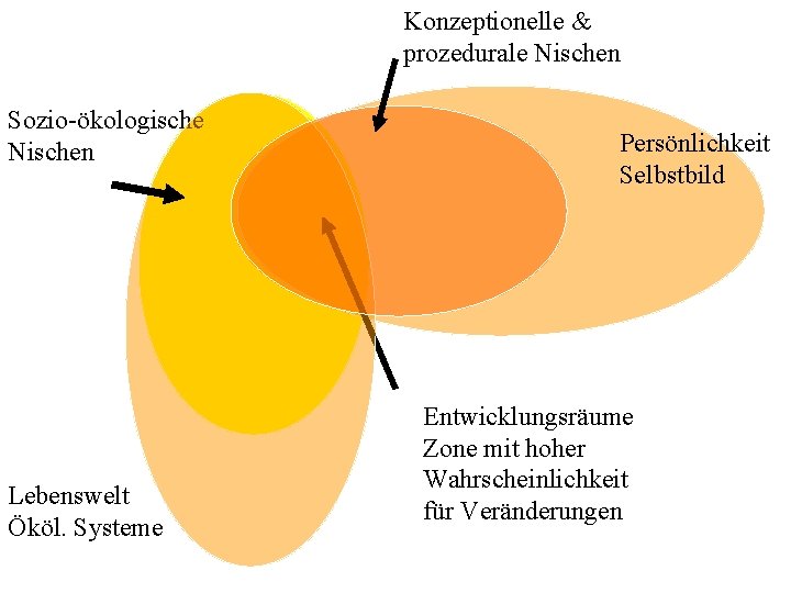 Konzeptionelle & prozedurale Nischen Sozio-ökologische Nischen Lebenswelt Ököl. Systeme Persönlichkeit Selbstbild Entwicklungsräume Zone mit