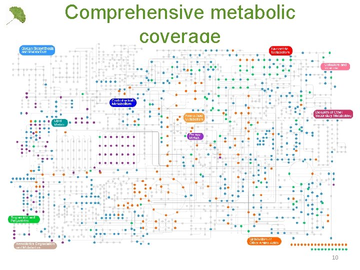 Comprehensive metabolic coverage 10 