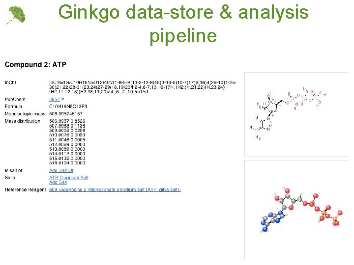 Ginkgo data-store & analysis pipeline 11 