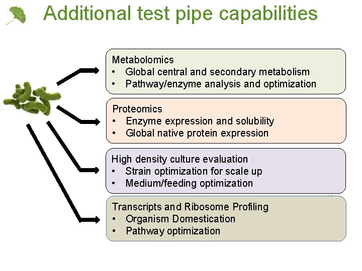 Additional test pipe capabilities Metabolomics • Global central and secondary metabolism • Pathway/enzyme analysis