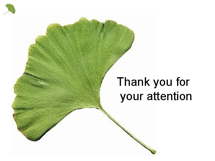 Thank you for your attention 