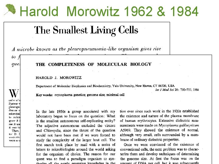 Harold Morowitz 1962 & 1984 