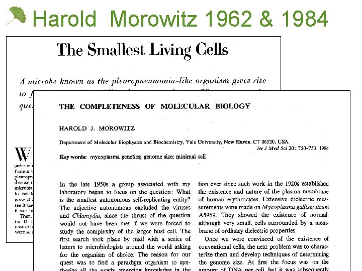 Harold Morowitz 1962 & 1984 