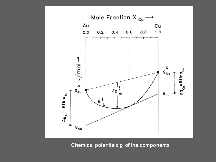 Chemical potentials gi of the components 