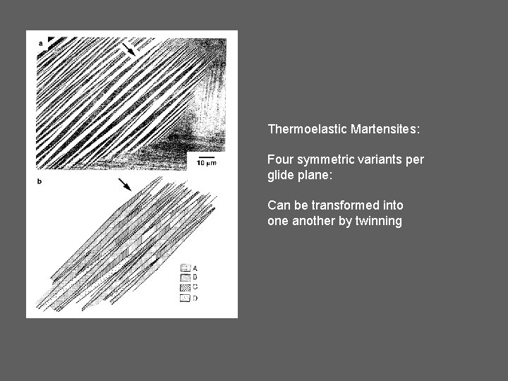 Thermoelastic Martensites: Four symmetric variants per glide plane: Can be transformed into one another