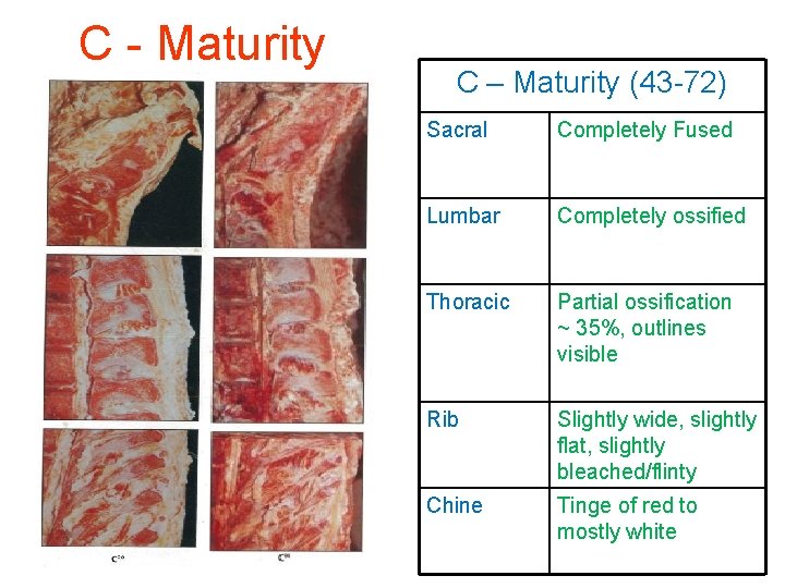 C - Maturity C – Maturity (43 -72) Sacral Completely Fused Lumbar Completely ossified