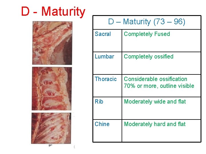 D - Maturity D – Maturity (73 – 96) Sacral Completely Fused Lumbar Completely