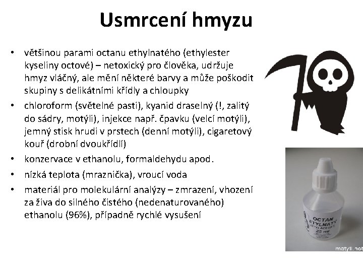 Usmrcení hmyzu • většinou parami octanu ethylnatého (ethylester kyseliny octové) – netoxický pro člověka,