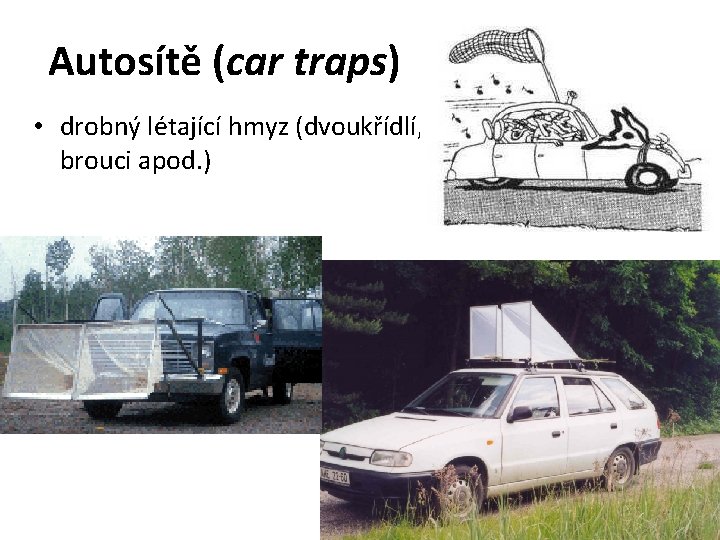 Autosítě (car traps) • drobný létající hmyz (dvoukřídlí, brouci apod. ) 