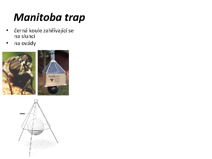 Manitoba trap • černá koule zahřívající se na slunci • na ovády 