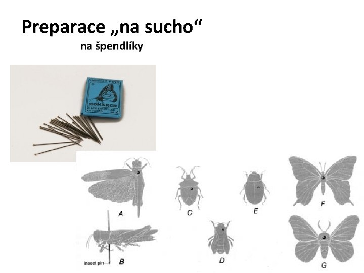 Preparace „na sucho“ na špendlíky 