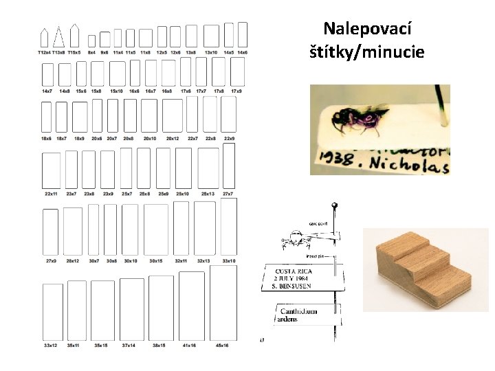 Nalepovací štítky/minucie 