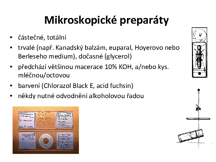 Mikroskopické preparáty • částečné, totální • trvalé (např. Kanadský balzám, euparal, Hoyerovo nebo Berleseho